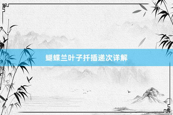 蝴蝶兰叶子扦插递次详解